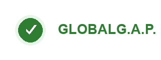Certification Logo